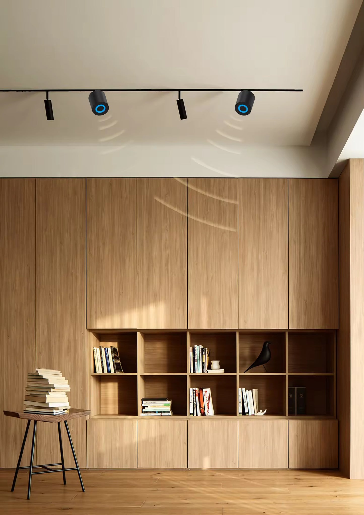 Magnetic Track Model